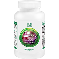 Coral Burdock Root